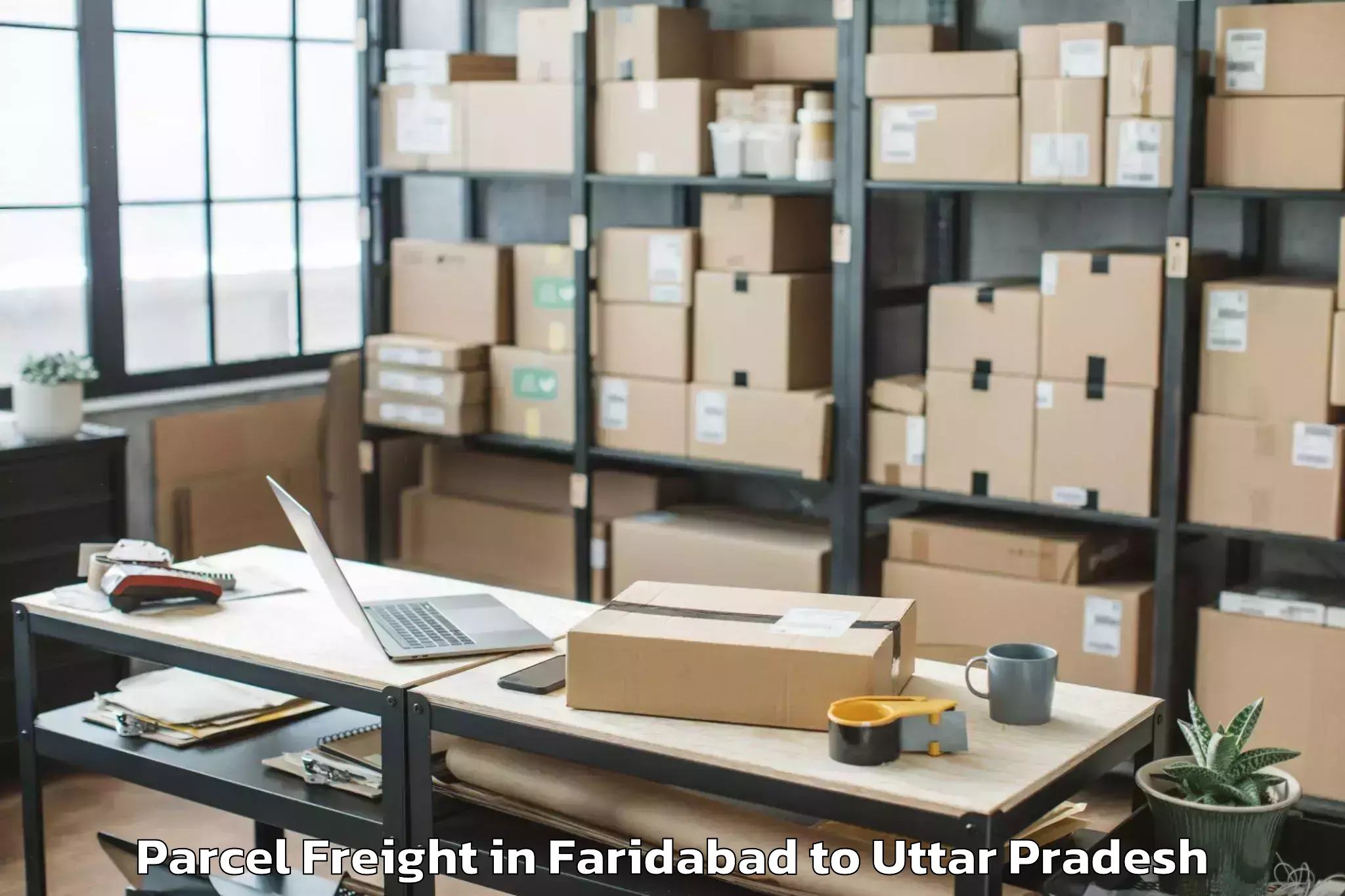 Faridabad to Auraiya Parcel Freight Booking